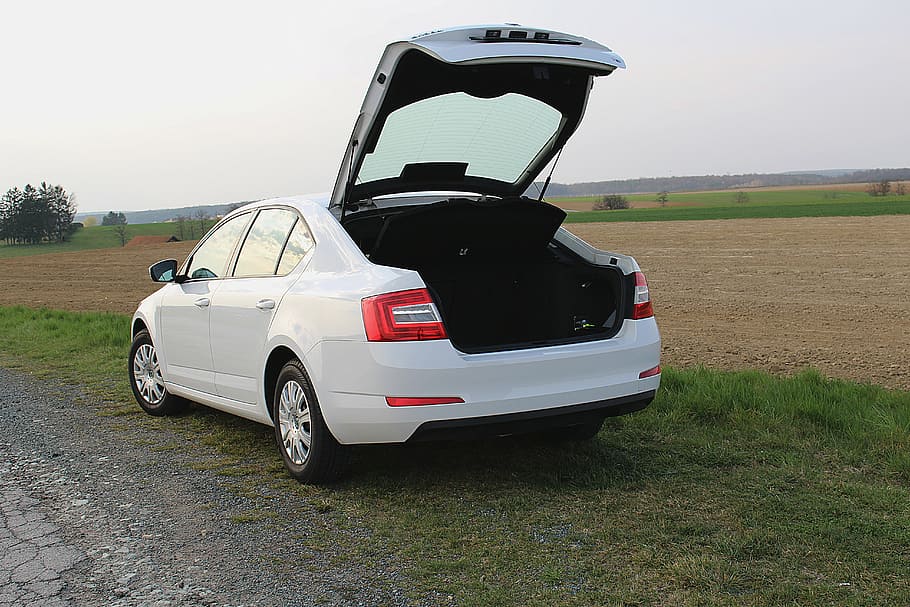auto, trunk, open, skoda, oktavia, transportation, mode of transportation HD wallpaper
