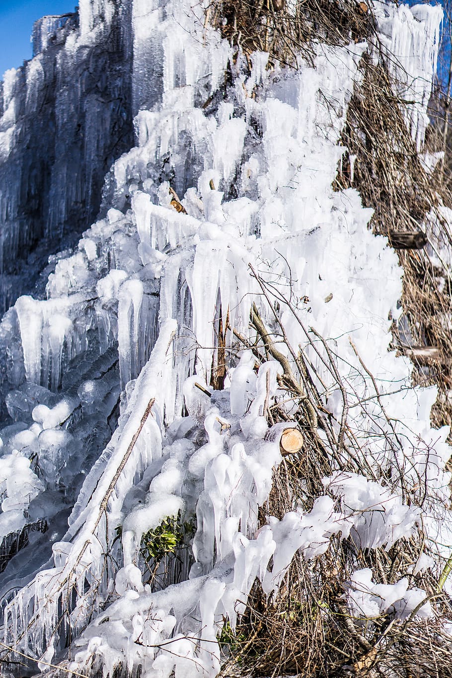 ice, branch, icicles, cold temperature, snow, winter, white color HD wallpaper