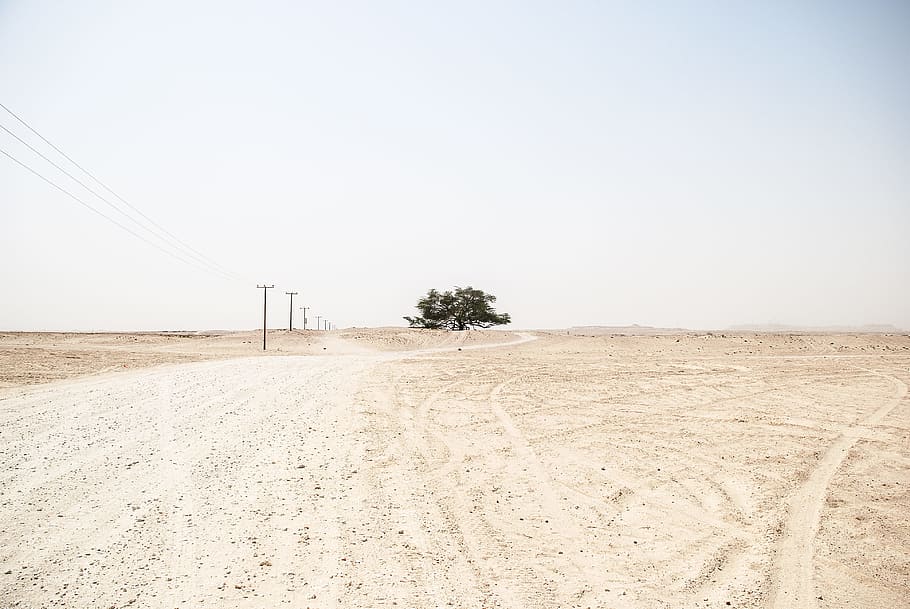 brown sand, tree near power lines under cloudy blue sky, middle HD wallpaper