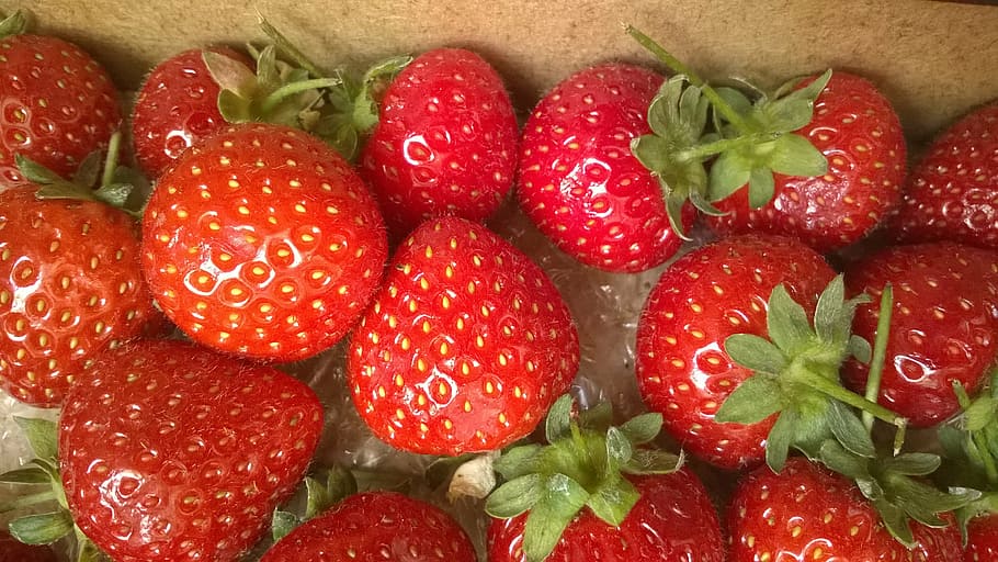 strawberries, fruit, red, strawberry, fresh, healthy, sweet HD wallpaper