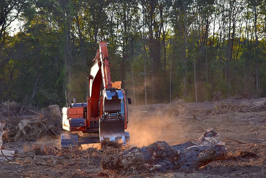 empty bucket orange and gray excavator, deforestation, machine