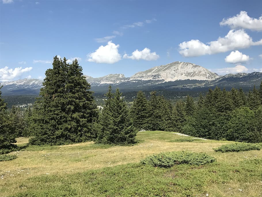 vercors, mountain, landscape, plant, tree, beauty in nature HD wallpaper