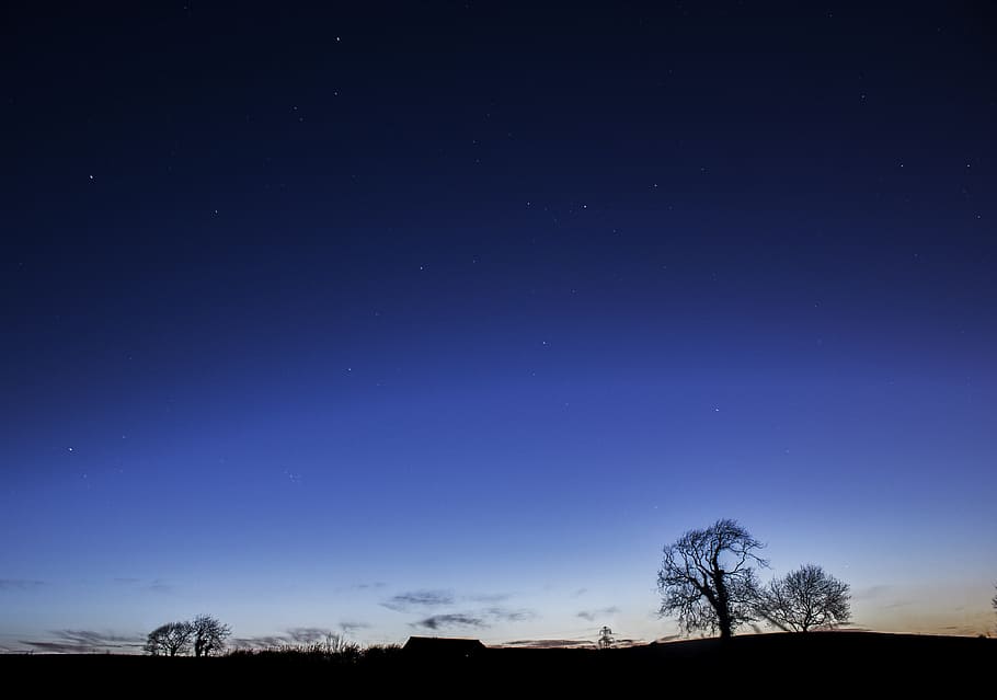 silhouette of tree and house, Blue, Night, Night, Sky, Light, Night HD wallpaper
