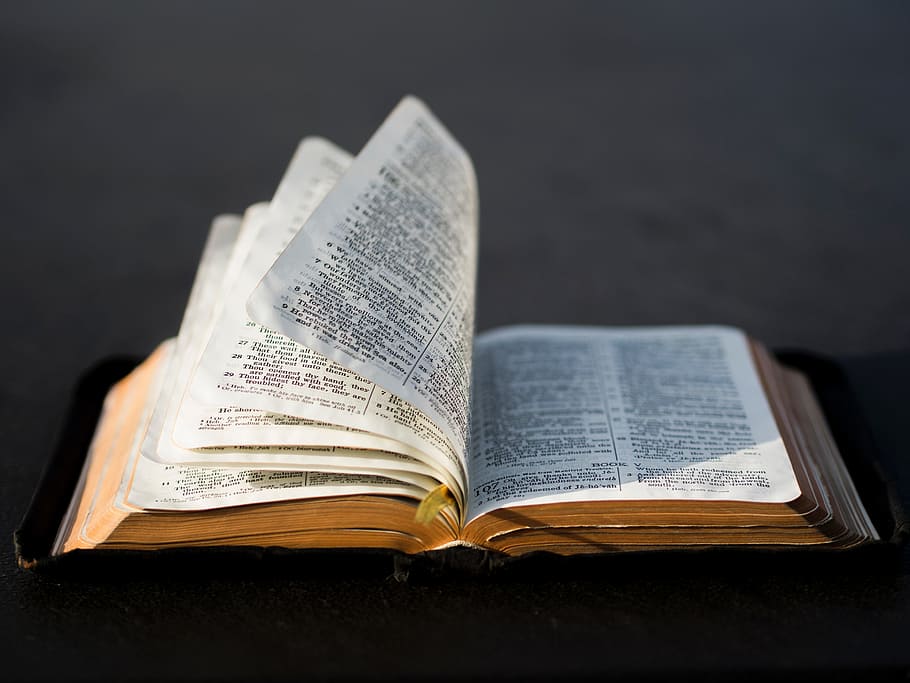 Dictionary page, holy, book, bible, reading, religion, publication HD wallpaper