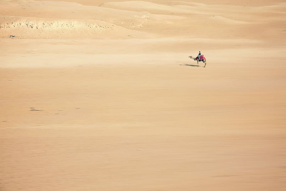 man riding brown camel on desert, person riding camel in desert during day HD wallpaper