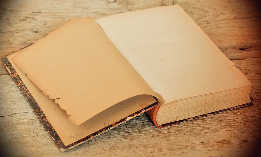 brown open book, old, antique, pages, empty pages, book pages, HD wallpaper