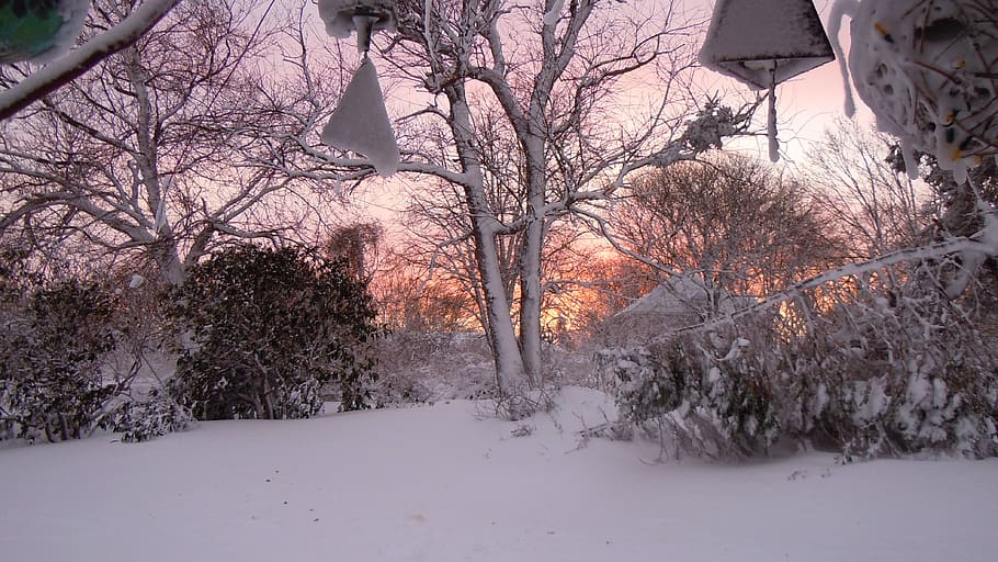 Snow, Sunset, Winter, Landscape, Season, cold, outdoor, scene HD wallpaper