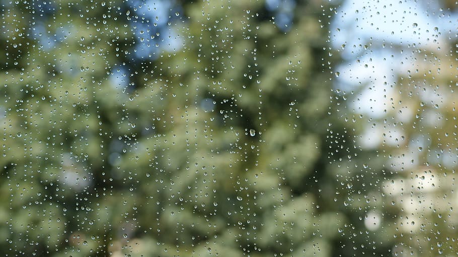 window, drops, rain, the background, pane, rain drops, water HD wallpaper