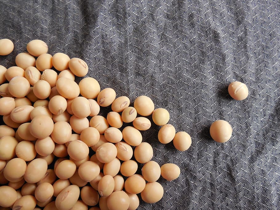 closeup photo of soy beans, soybeans, food, grains, seeds, healthy, HD wallpaper
