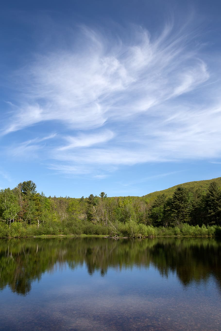 clouds, landscape, nature, pond, sky, summer, trees, water HD wallpaper