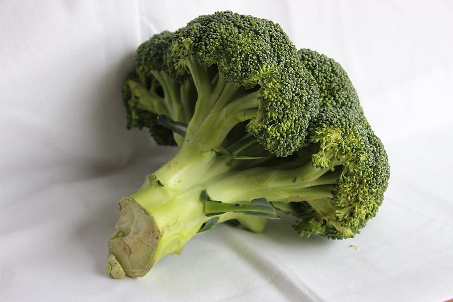 broccoli, vegetable, fresh, natural, vegetarian, food, healthy HD wallpaper