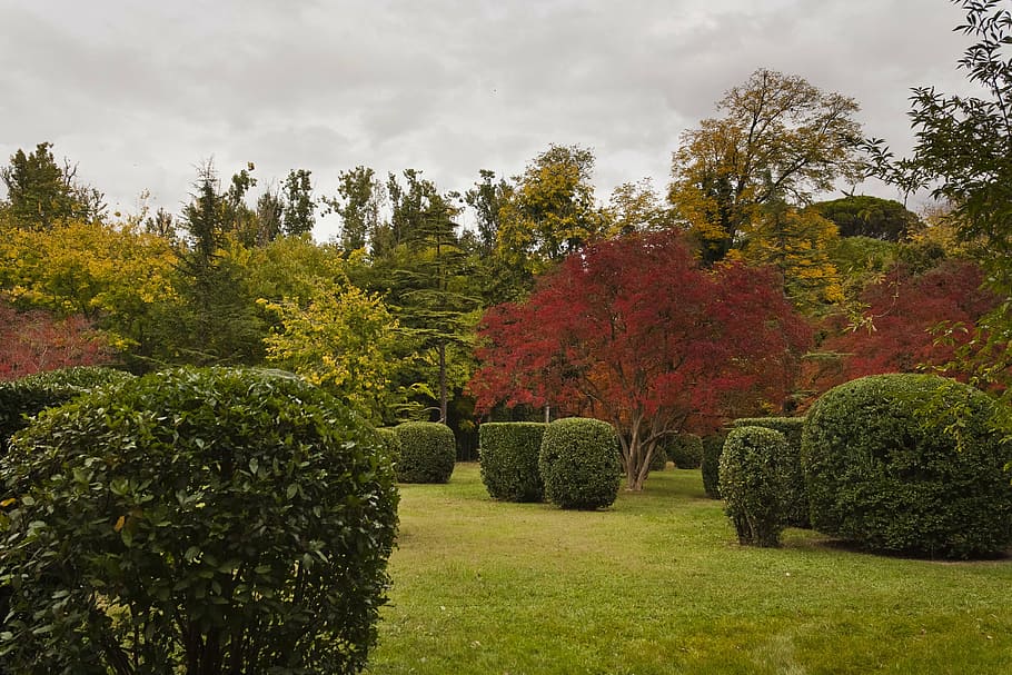 aranjuez, madrid, spain, landscape, unesco, garden of the prince HD wallpaper