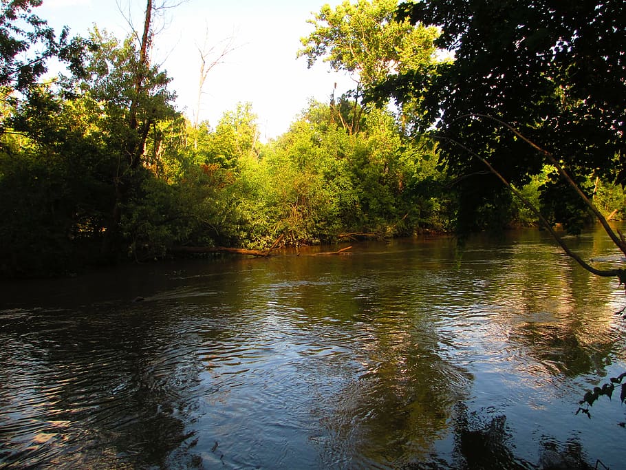 river, yellow, light, yellow light, water, nature, rouge river HD wallpaper