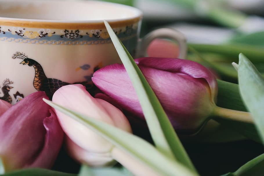 coffee, cup, flowers, purple, bloom, blooming, blossom, blur HD wallpaper