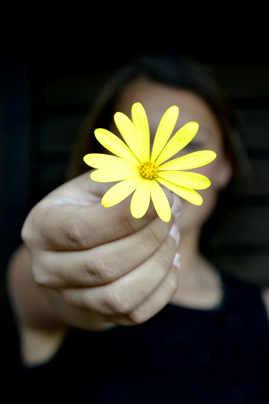 woman holding yellow osteospermum flower, daisy, peace, relaxation HD wallpaper