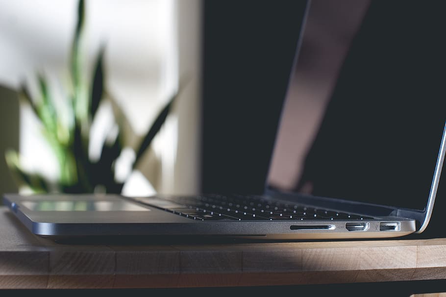 black laptop computer near snake plant, apple, keyboard, technology HD wallpaper