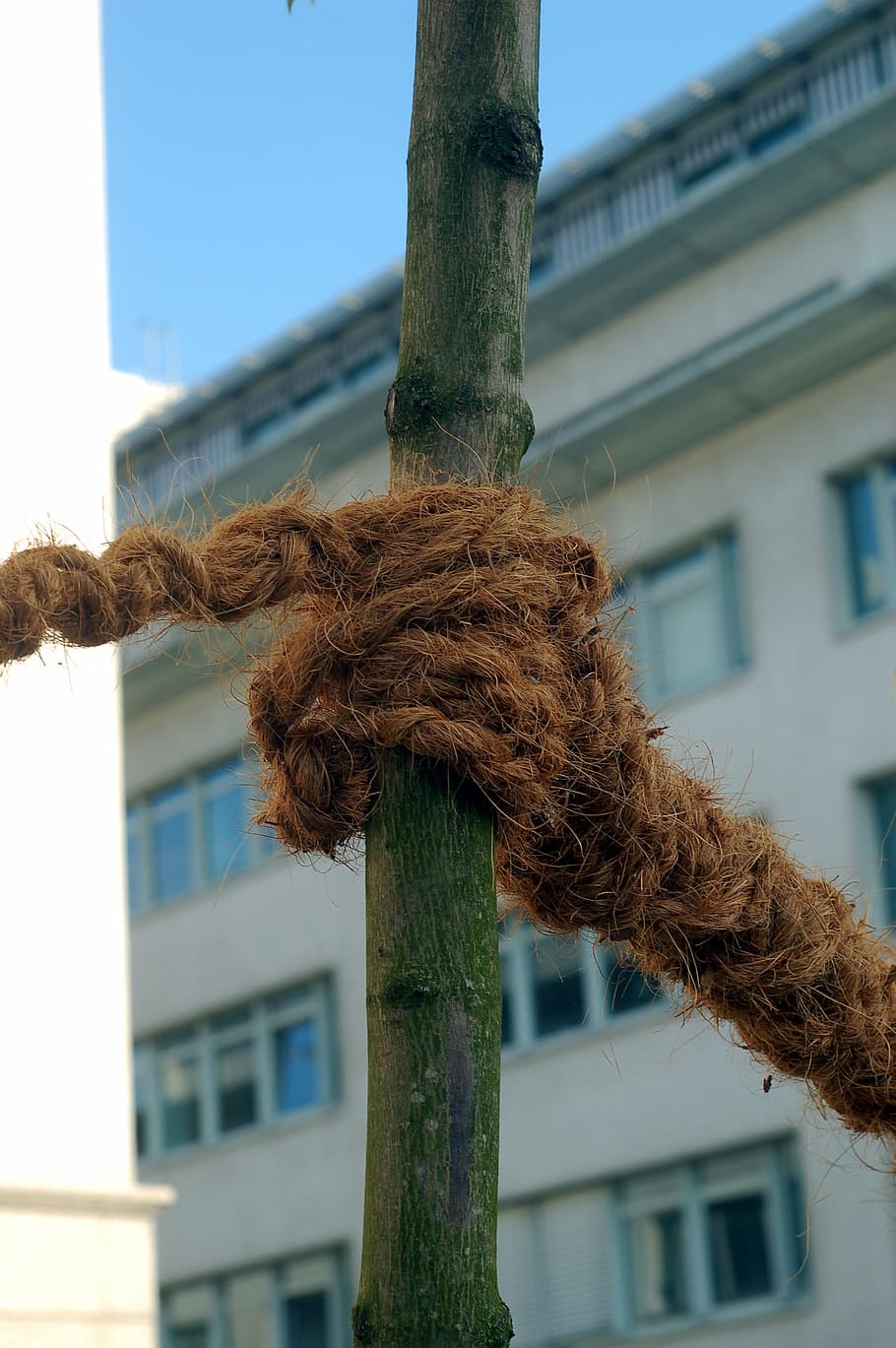 node, rope, bond, strain, standby, day, focus on foreground HD wallpaper