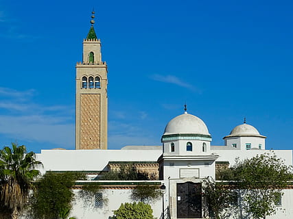 white and beige building near trees, architecture, dome, minaret HD wallpaper