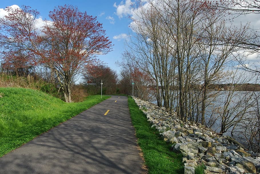 Westport, Massachusetts, Bicycle Path, trees, park, grass, plants HD wallpaper