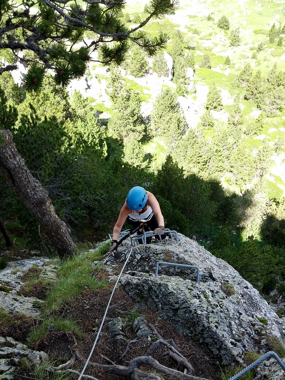 escalation, rock, top, mountain, sport, tree, forest, mountaineering HD wallpaper