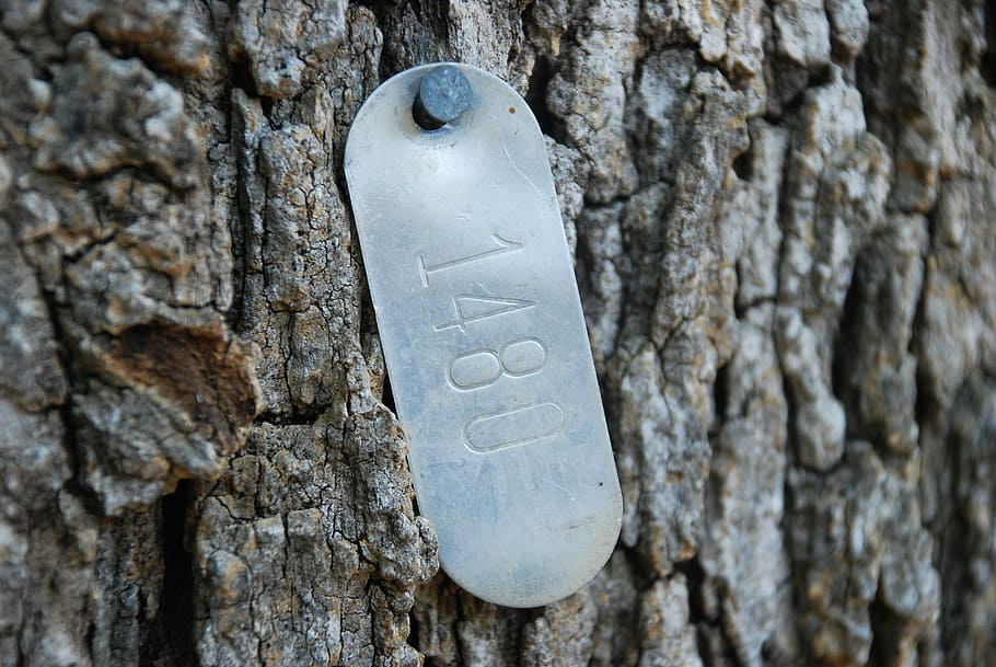 tree identification tags, tree tags, code, metal, circle, marking