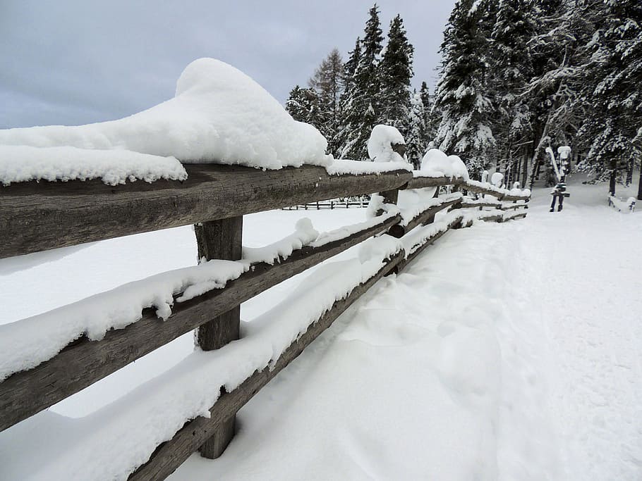 Fence, Snow, Winter, Ice, Cold, Forest, trees, white, firs HD wallpaper