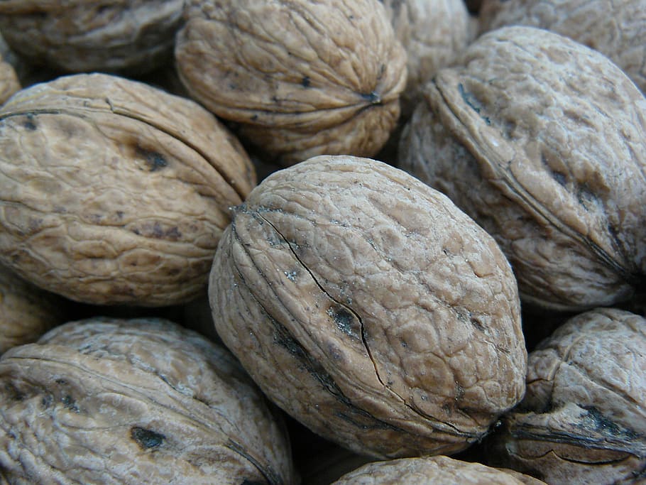 Autumn, Walnut, Shell, Hard, Nutshell, brown, crack, food and drink HD wallpaper