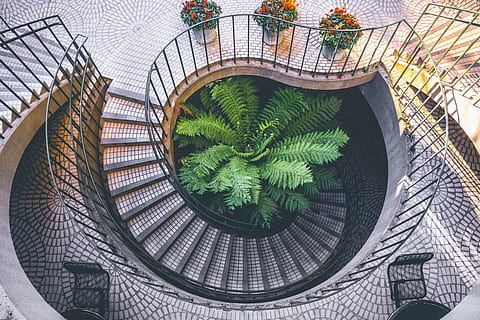 green leaf plant, spiral, staircase, architecture, interior HD wallpaper