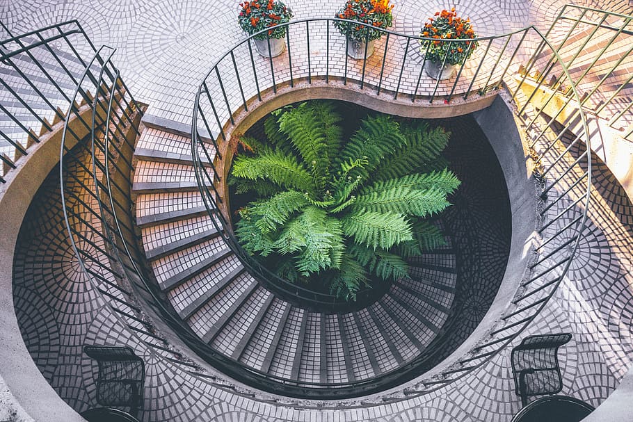 green leaf plant, spiral, staircase, architecture, interior HD wallpaper