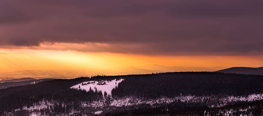 light, dawn, landscape, forest, dusk, idyllic, outdoors, scenic HD wallpaper