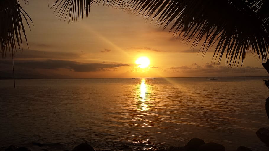 body of water during golden hour, roatan, island, sunset, sky HD wallpaper