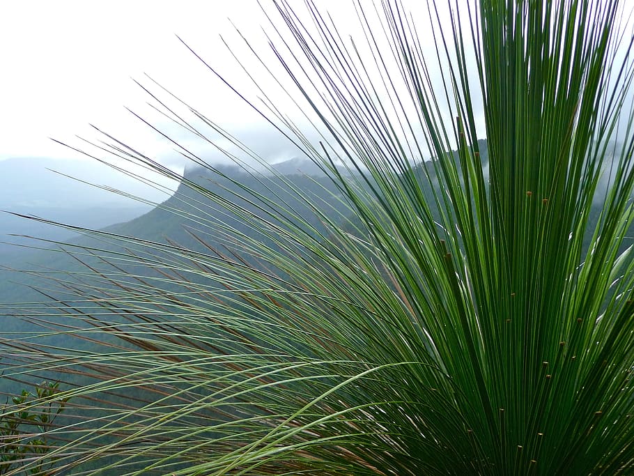 Grass, Mountains, Green, Mist, Mist, Mountain, landscape, clouds HD wallpaper