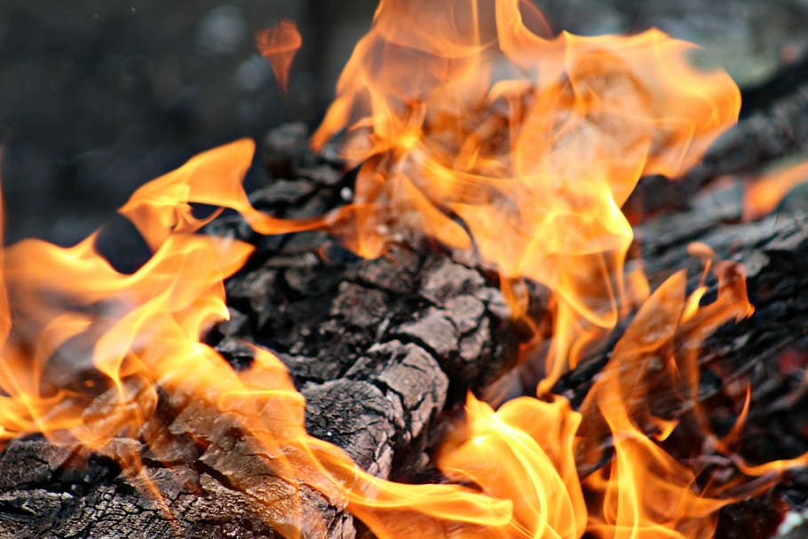 fire, burning, heat, hot, bonfire, campfire, flame, wood, camping HD wallpaper