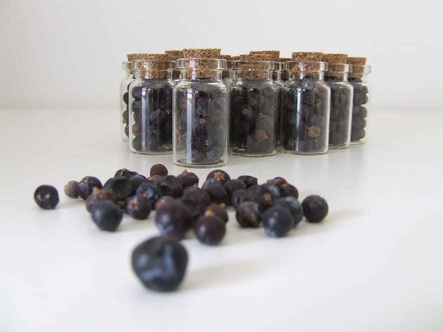 small round black fruits and clear glass vial lot, Juniper HD wallpaper