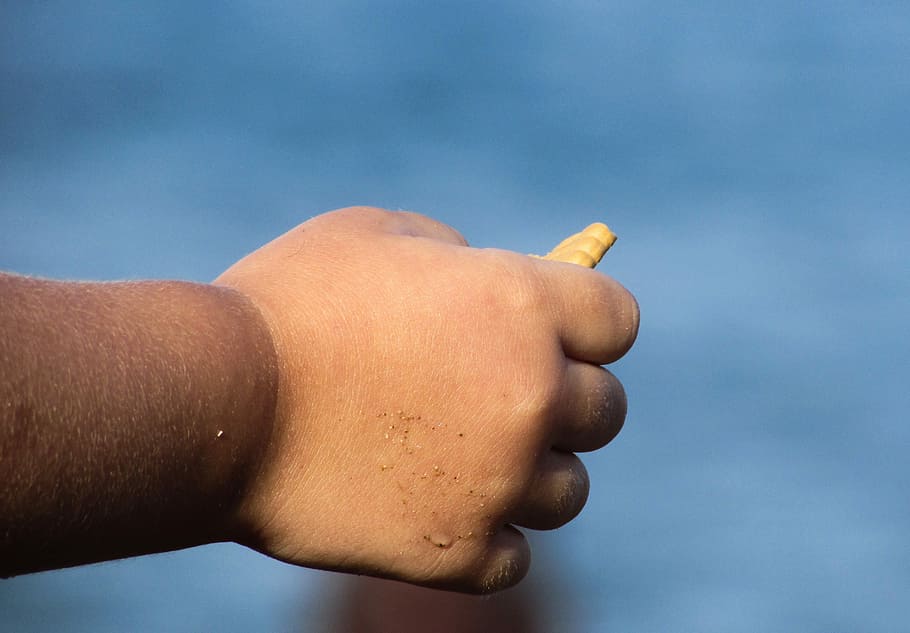 Hand, Child, Small, Holding, Biscuit, fingers, wet, beach, summer HD wallpaper