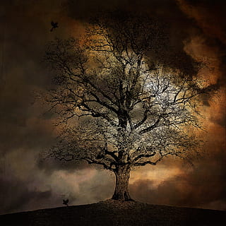 black tree with two black birds illustration, landscape, crow HD wallpaper