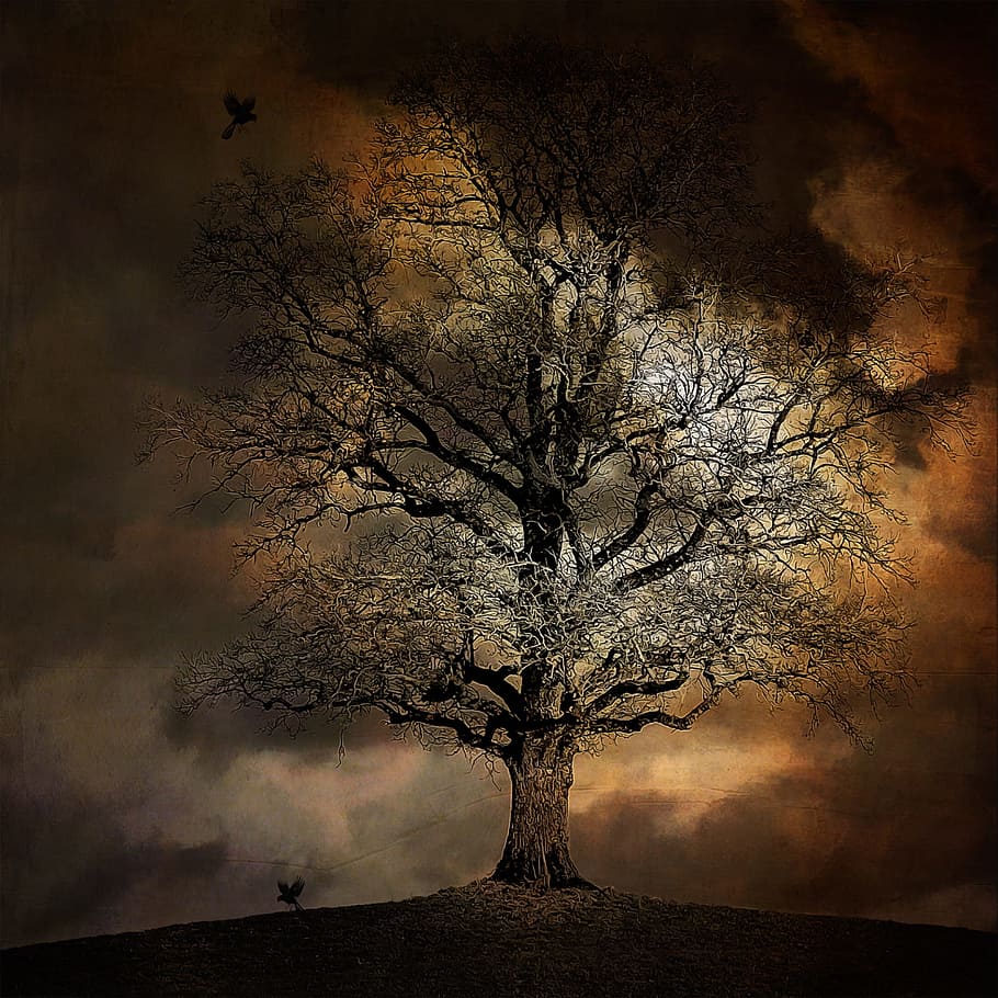black tree with two black birds illustration, landscape, crow HD wallpaper
