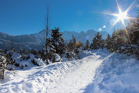 alpine, alpspitze, trees, bavaria, mountains, massif, blue HD wallpaper