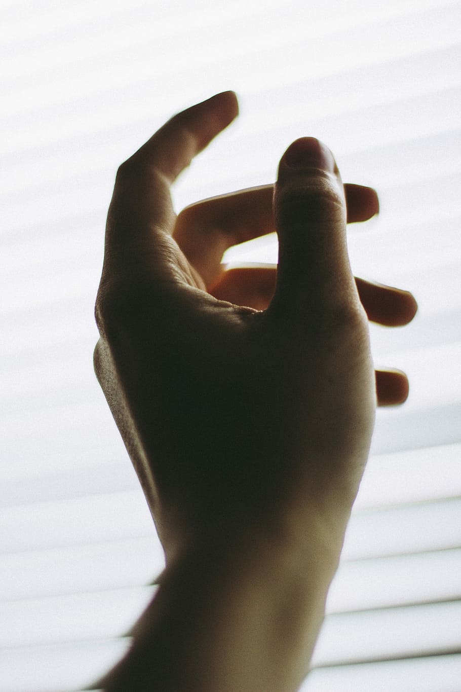 left human hand, photo of hand in front of white window blinds HD wallpaper