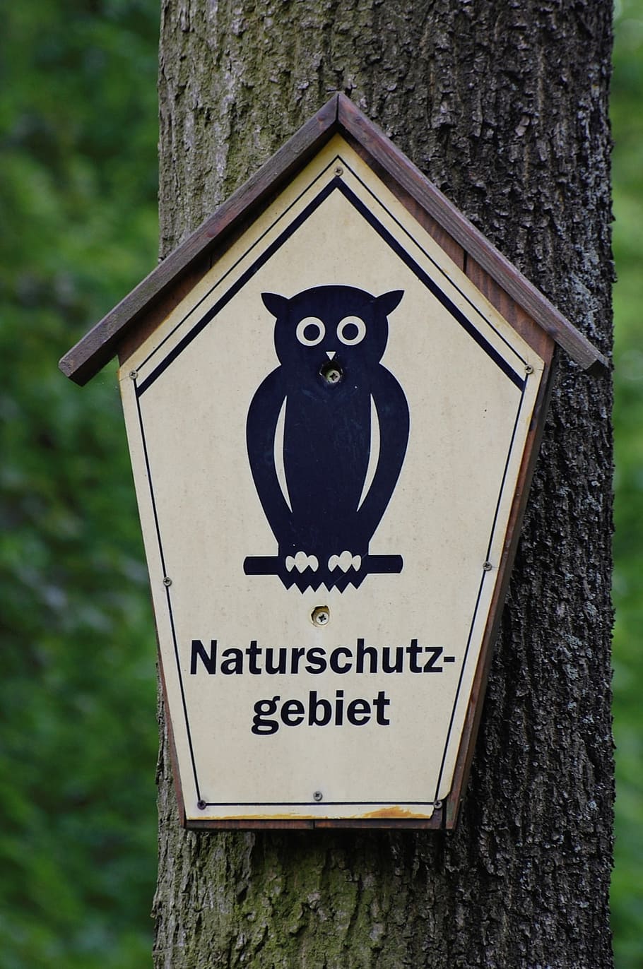 nature reserve, shield, owl, note, environmental protection HD wallpaper