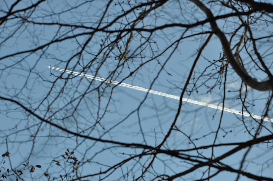 sky, the plane, flight, branches, line, distance, autumn, tree HD wallpaper
