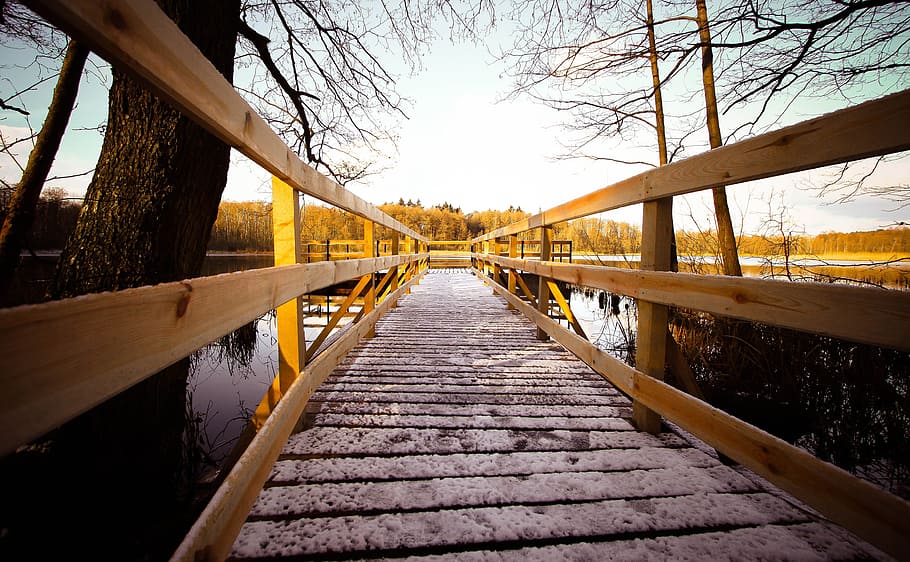 brown wooden foot bridge, at the court of, nature, architecture, HD wallpaper