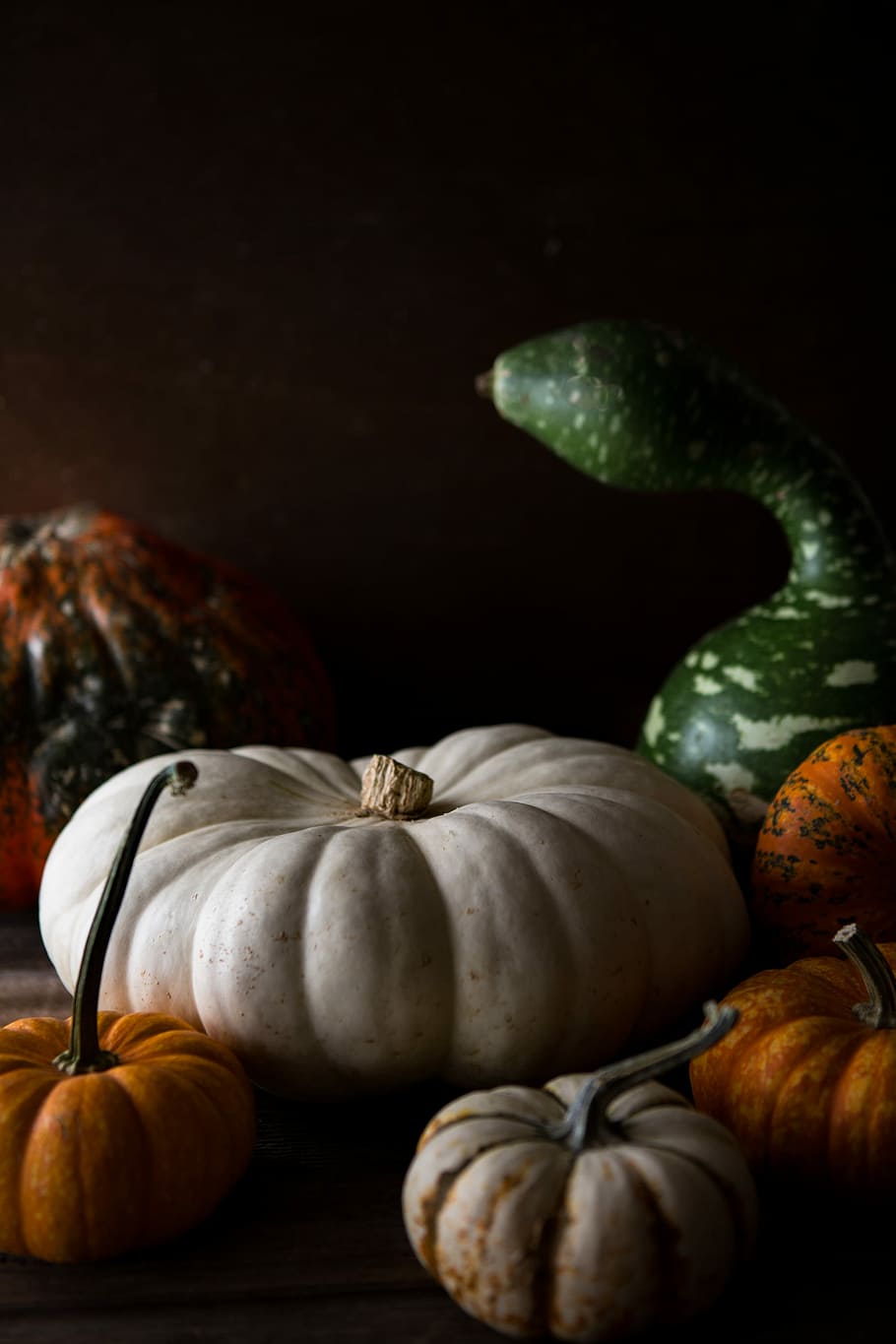 Still Life with Gourds, assorted pumpkins, gourde, vegetable HD wallpaper