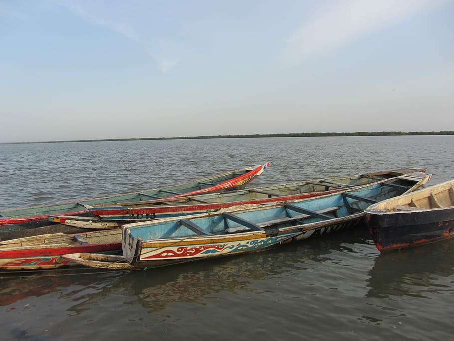 canoe, casamance, senegal, africa, river, water, nautical vessel, HD wallpaper