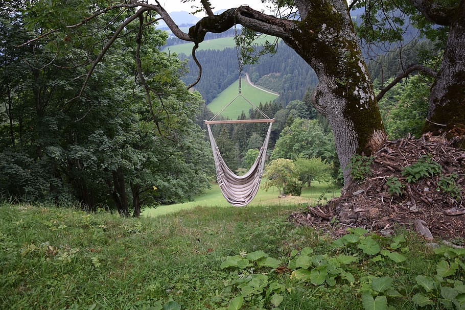 Hammock, Holiday, Forest, Meadow, green, alm, hut, idyllic HD wallpaper