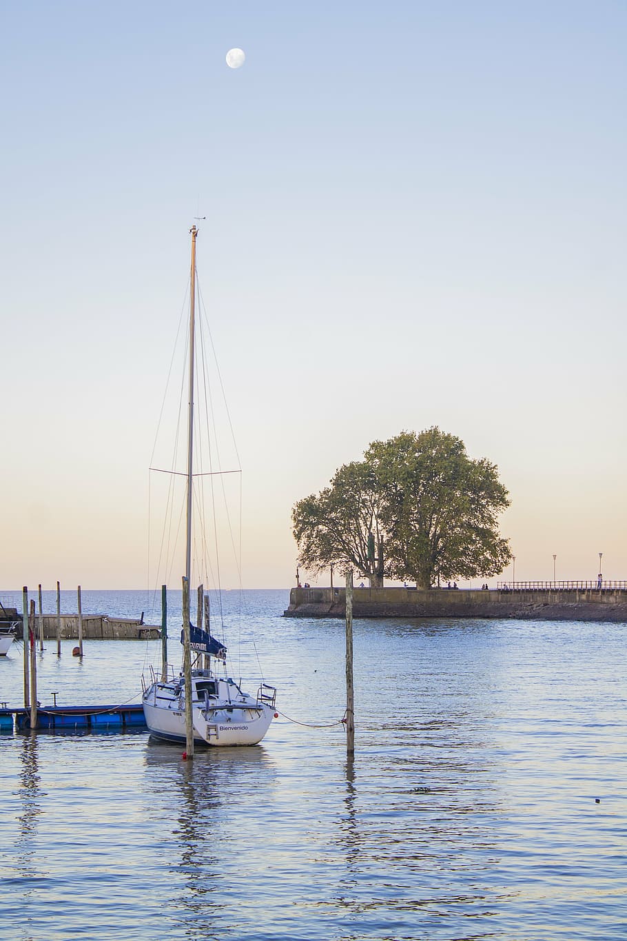 boat, moon, tree, landscape, sky, sunset, nature, climate, outdoors HD wallpaper