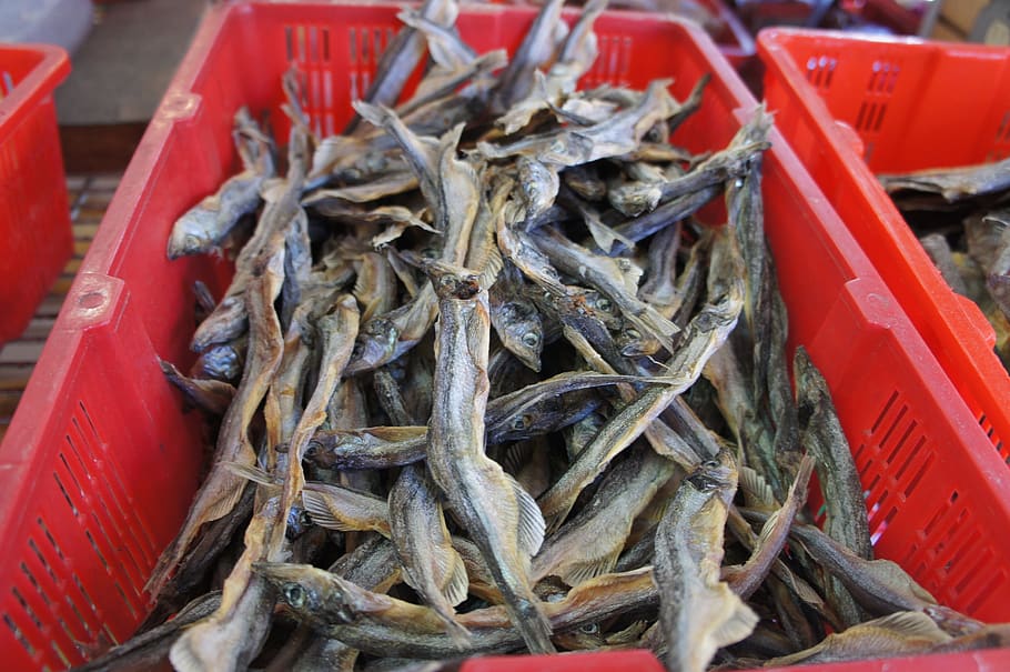 dried, fish, food, food and drink, red, market, abundance, container HD wallpaper