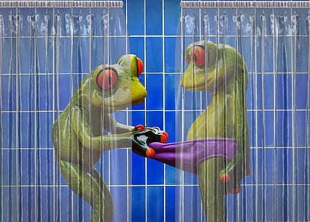 frogs, bathroom, curious, funny, cute, sweet, computer Graphic HD wallpaper