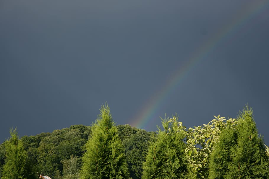 rainbow, sky, rainbow sky, blue, landscape, nature, summer HD wallpaper