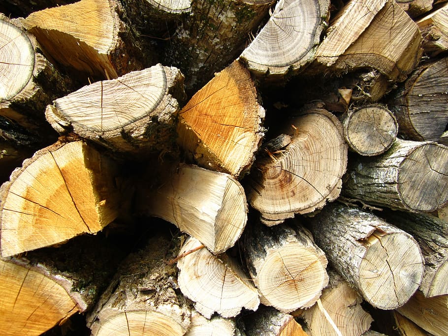 Tribe, Tree Trunk, Background, timber, log, stack, full frame HD wallpaper